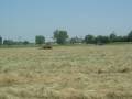 new holland tl100 e fiat 640