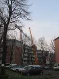 smontaggio FM:Liebherr