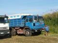 iveco 330 26 e nonno santino ( notare le mutande)
