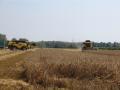 New Holland in campo Nonantola MO 1/7/07