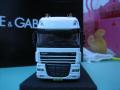 DAF 105XF 8x4 (WSImodels) -NEW-