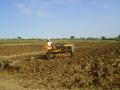 Landini