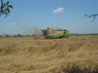 claas lexion 420