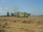 claas lexion 420