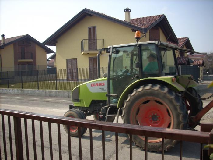 Claas Celtis 445 rullatura 4