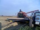 axial flow con testata stripper