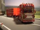 Scania Red Hawk in scala 1:87