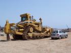 Cat D10N