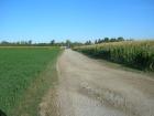 LA strada per lo show