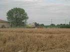 claas lexion 420