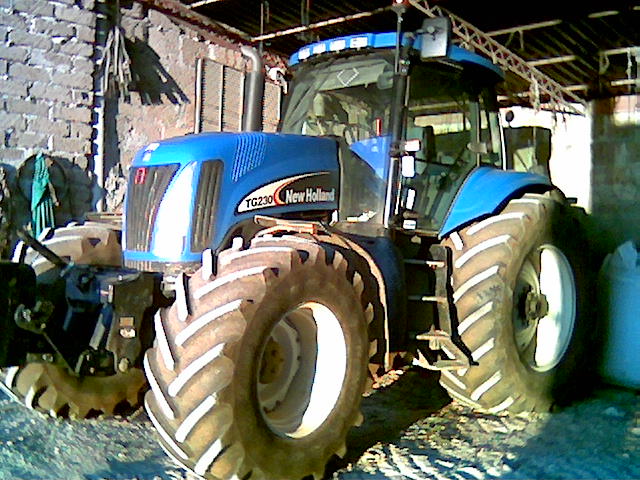 Tg 230