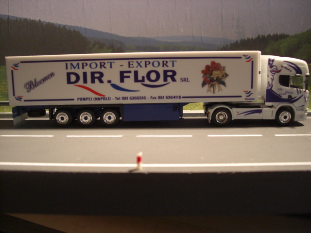 Scania R Topline Orlando-DIR FLOR