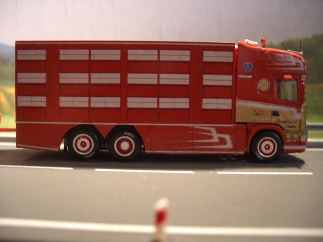 Scania Red Hawk in scala 1:87