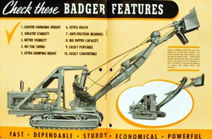 Badger