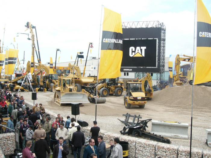 Panoramica Cat show