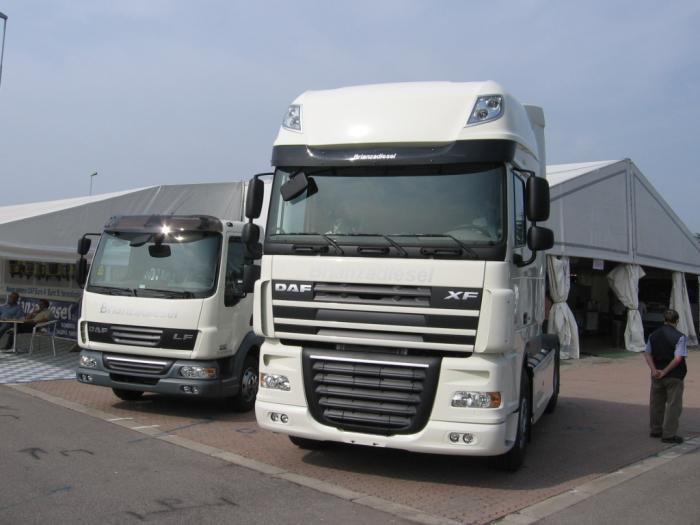 DAF LF e XF Brianzadiesel