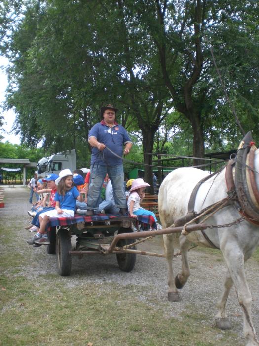 TEMA COUNTRY divertimenti per i bambini