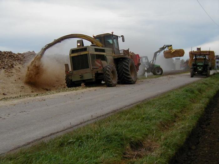 coperta di paglia per gelo