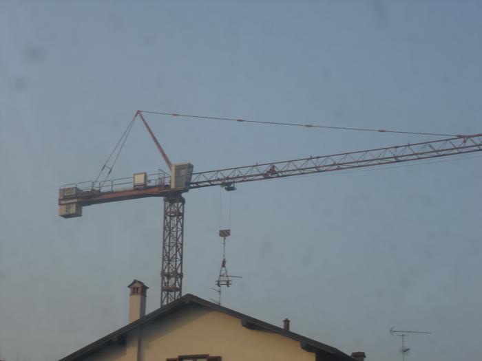 Raimondi