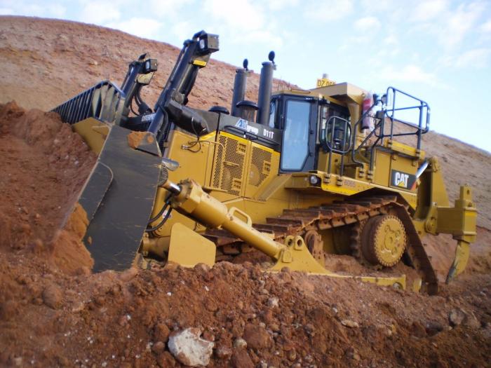 bellissimo cat d 11T