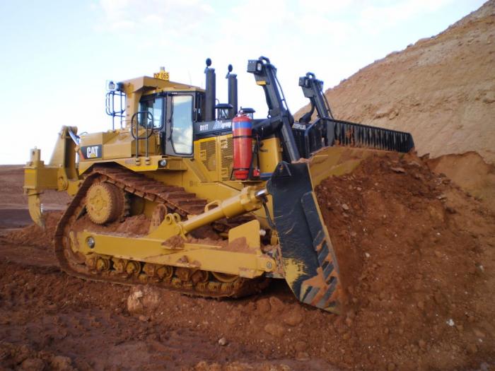 bellissimo cat d11 T