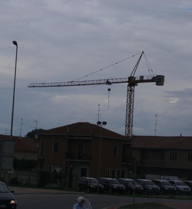 Raimondi