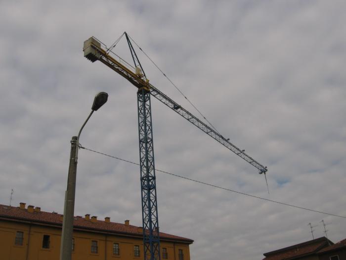 Raimondi