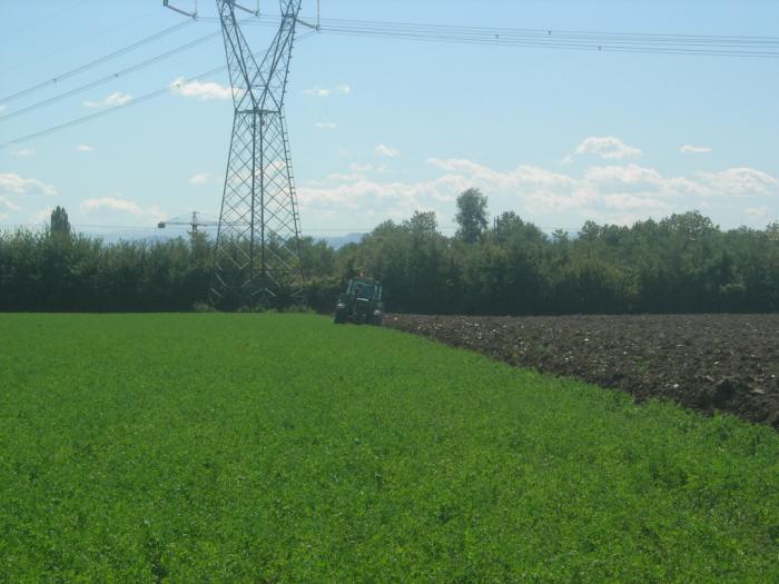 Fendt 612 lsa