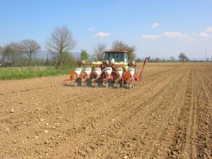 new holland L65 + seminatrice nardi mais 6 file