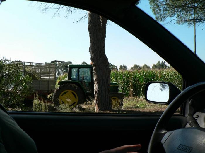 Claas Jaguar 900- Arborea (OR)