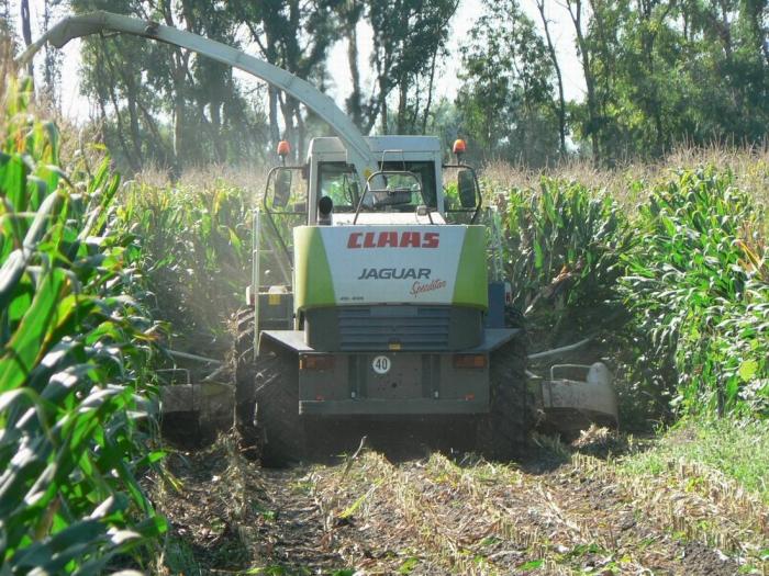 Claas Jaguar 900- Arborea (OR)