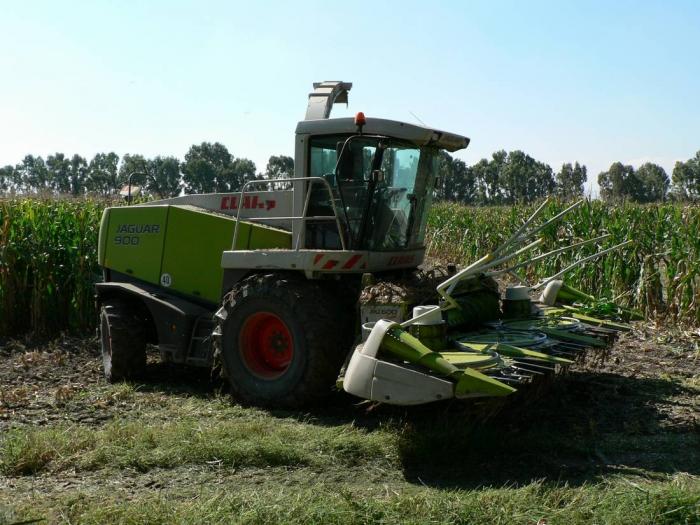 Claas Jaguar 900 Arborea (OR)