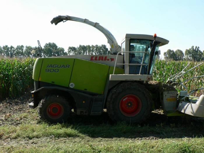 Claas Jaguar 900 Arborea (OR)