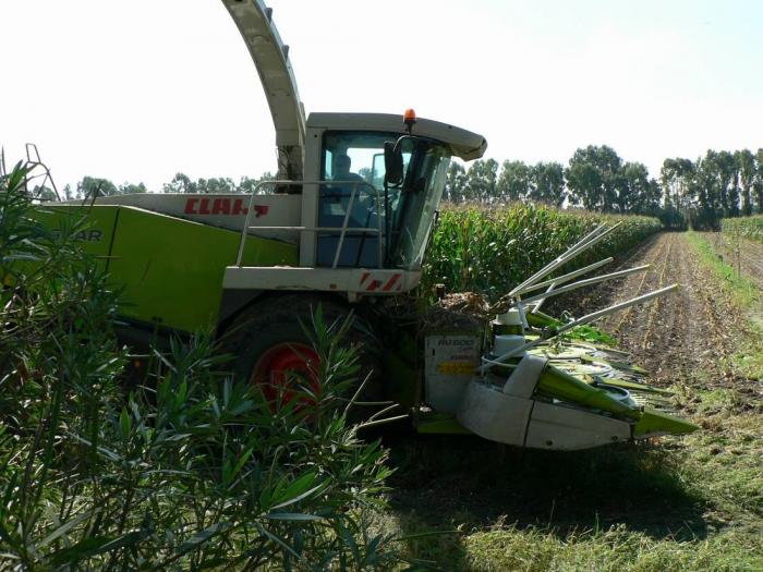 Claas Jaguar 900 Arborea (OR)