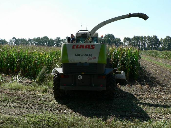 Claas Jaguar 900 Arborea (OR)