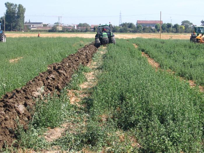 Gattatico RE 10/08/2008