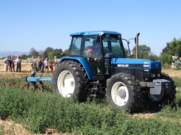 Gattatico RE 10/08/2008