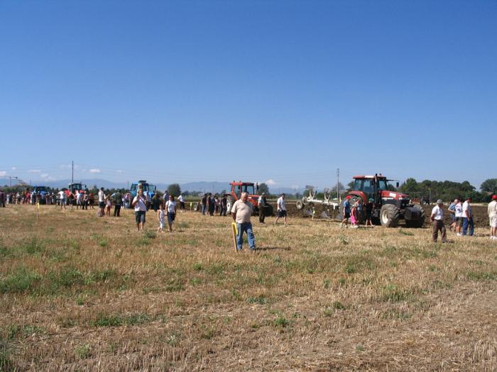 Gattatico RE 10/08/2008