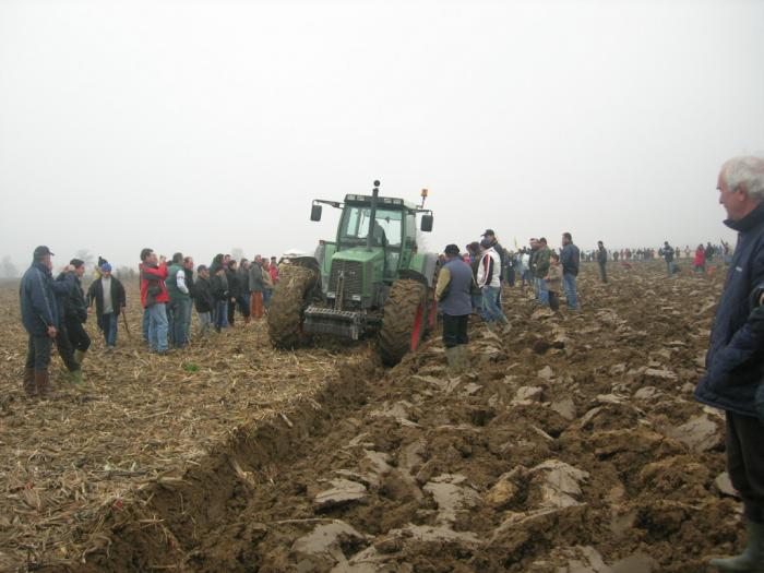 fendt 824