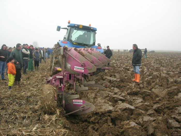 quadrivomere de franceschi