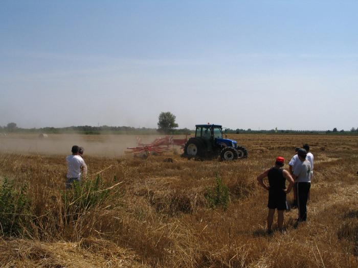 New Holland in campo Nonantola MO 1/7/07