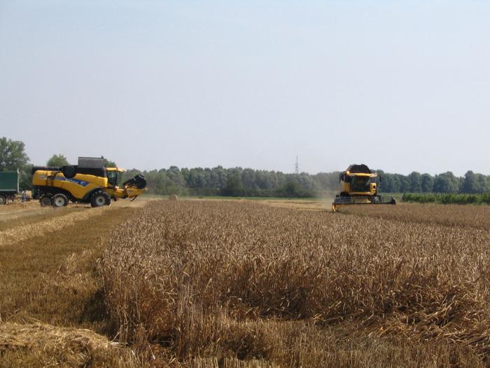 New Holland in campo Nonantola MO 1/7/07