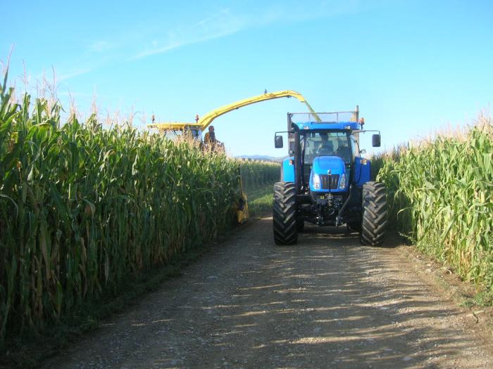 Apertura strade part 05