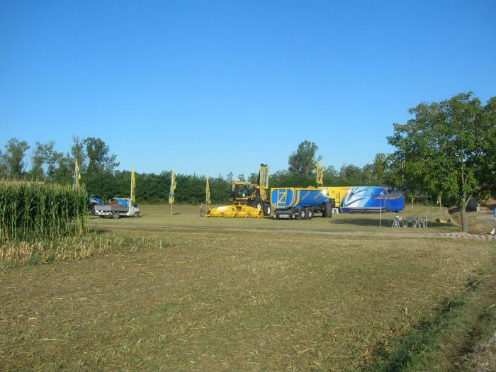 Al mattino di sabato.... part 01