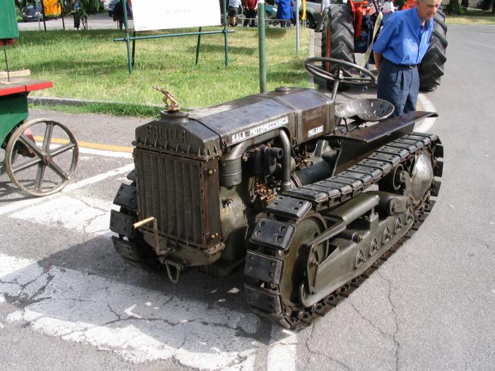 Castelnovo di S. 18/06/2006