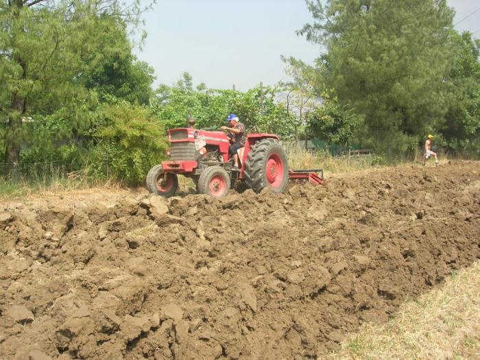 massey ferguson 178