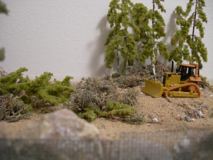 Diorama