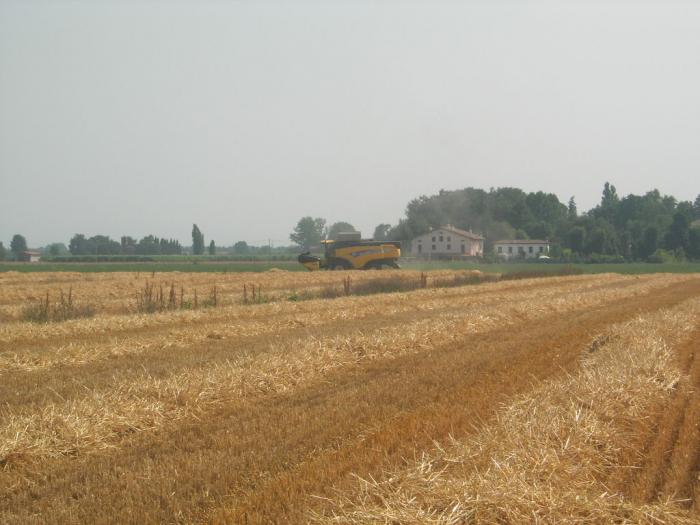 new holland cx880