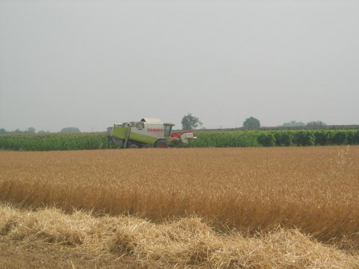 claas lexion 420