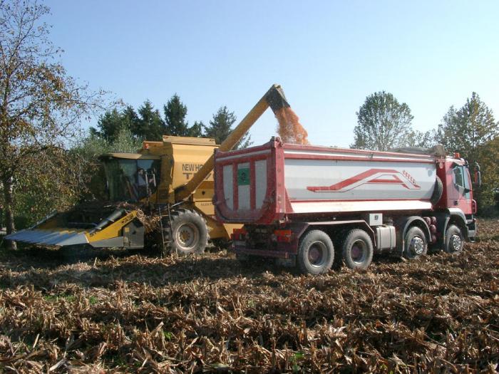 Iveco Trakker scarico